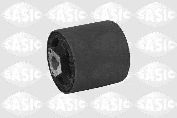 SASIC 2256040: Puks Esisild, taga, all