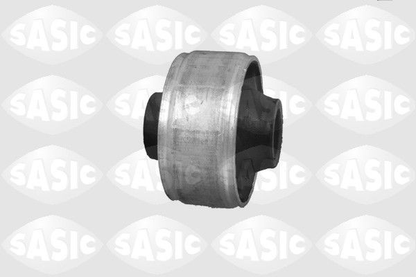SASIC 9001763: Puks Esisild, taga, all