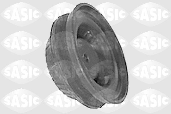 SASIC 9001456: Vedruamordi tugilaager Esisild