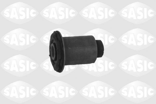 SASIC 2256014: Puks Esisild, ees, all