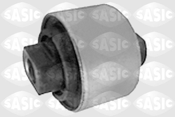 SASIC 9001539: Puks Esisild, taga, all