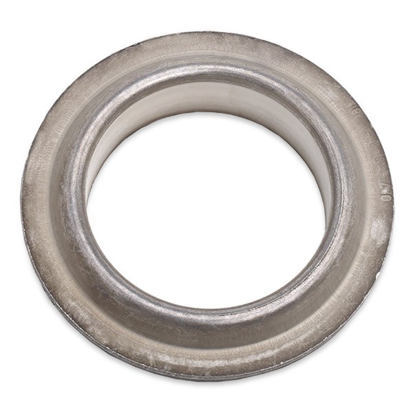 SASIC 2650011: Vedrutaldrik Esisild, paremal