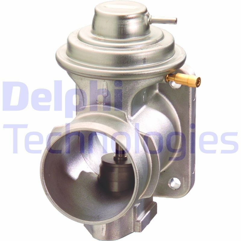 DELPHI EG10348-12B1: EGR-klapp
