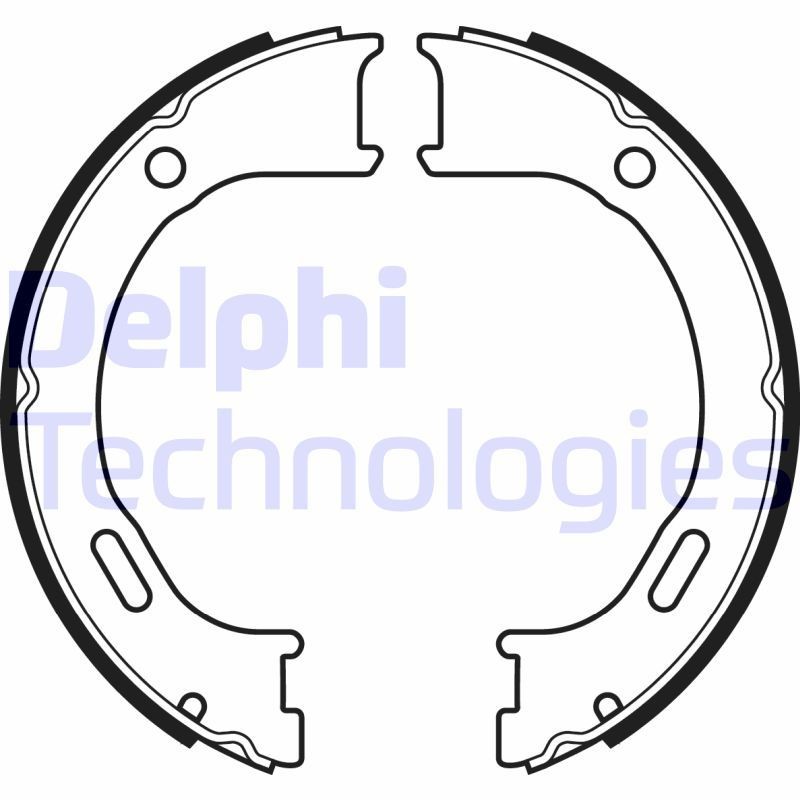DELPHI LS2076: Piduriklotside komplekt, seisupidur