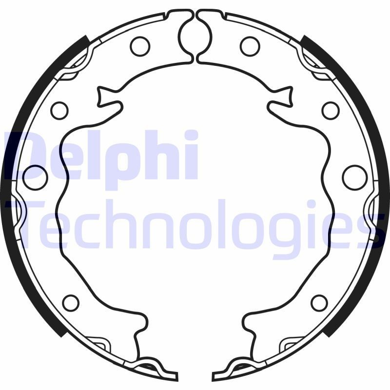 DELPHI LS2089: Piduriklotside komplekt, seisupidur