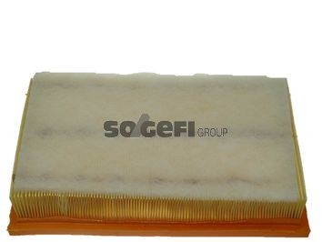 FRAM CA9022: Õhufilter