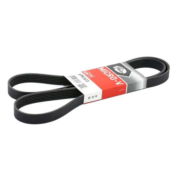 GATES 6PK1613: Courroie Poly-V 1613mm, Nombre de gorges: 6, RoadMax™ Value Line
