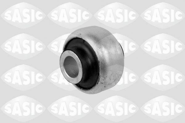 SASIC 2250022: Puks Esisild, ees, all