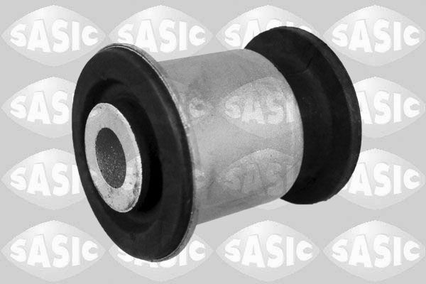 SASIC 2256065: Puks Esisild, ees, all