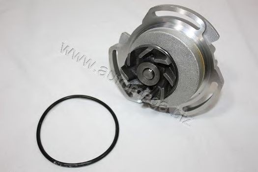 AUTOMEGA 301210005030L: Veepump