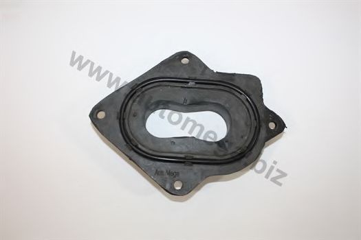 AUTOMEGA 101290761050C: Flansa carburator