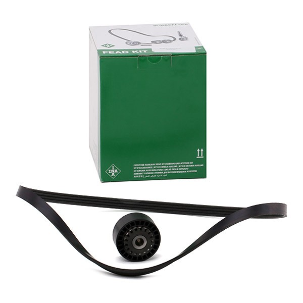 INA 529 0100 10: Set curea transmisie cu caneluri