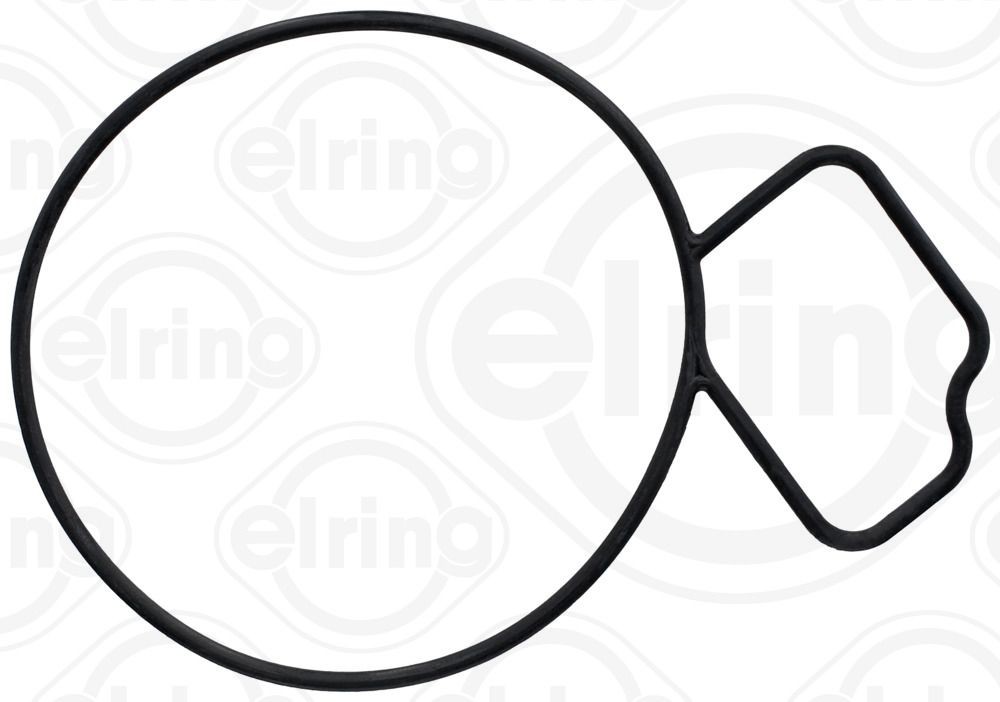 ELRING 061.670: Guarnizione, Pompa acqua Lato motore