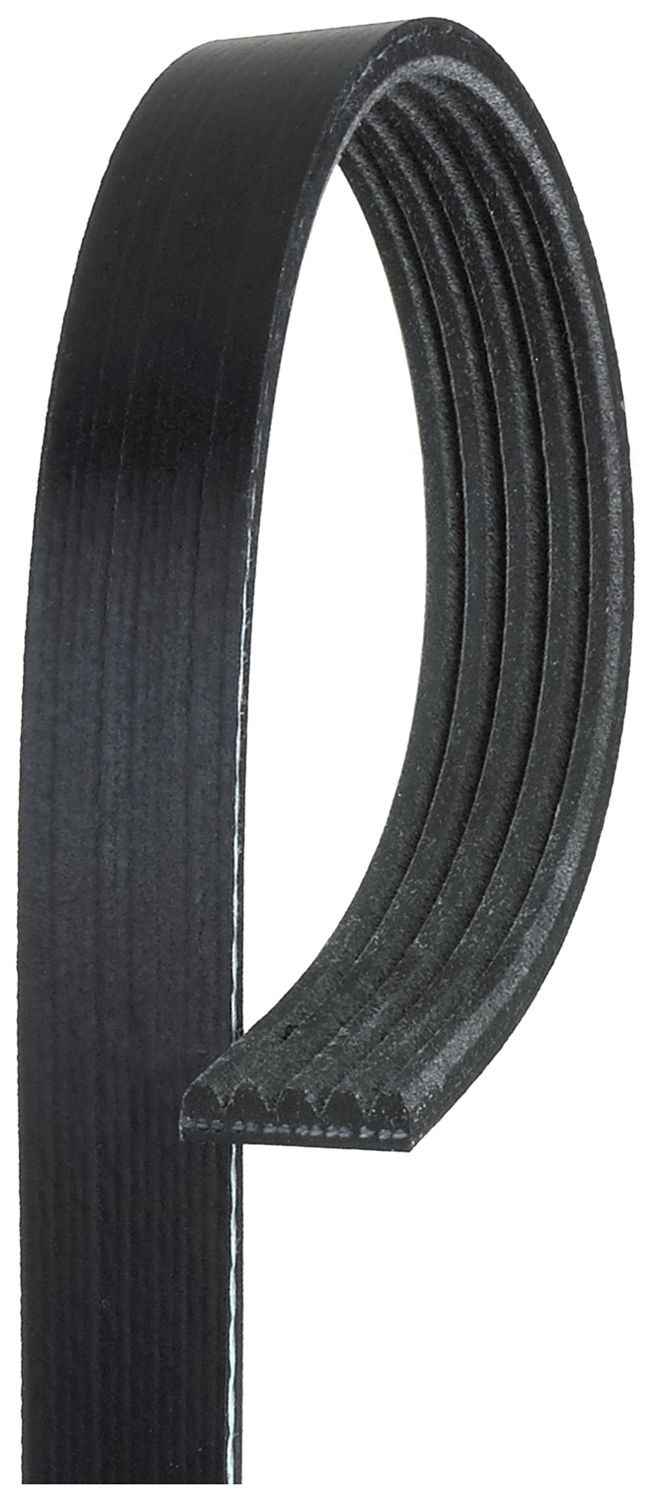 GATES 5PK1215: Curea transmisie cu caneluri 1215mm, Numar nervuri: 5, G-Force WorkHorse™
