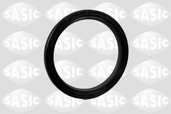 SASIC 1950004: Simering, diferential spre cutia de viteze