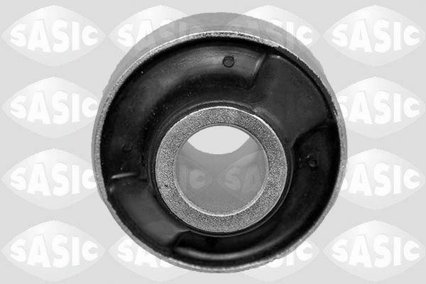 SASIC 2250023: Puks Esisild, taga, all