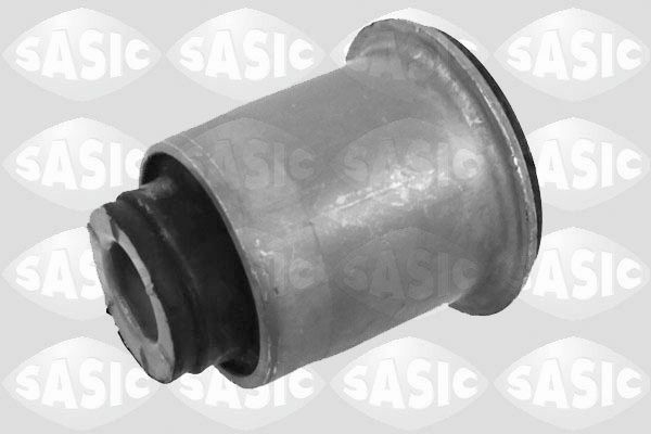 SASIC 2254017: Puks Esisild, ees