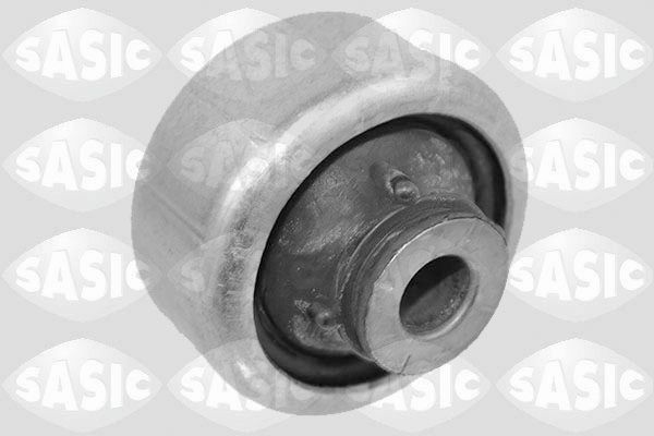 SASIC 2254018: Puks Esisild, taga