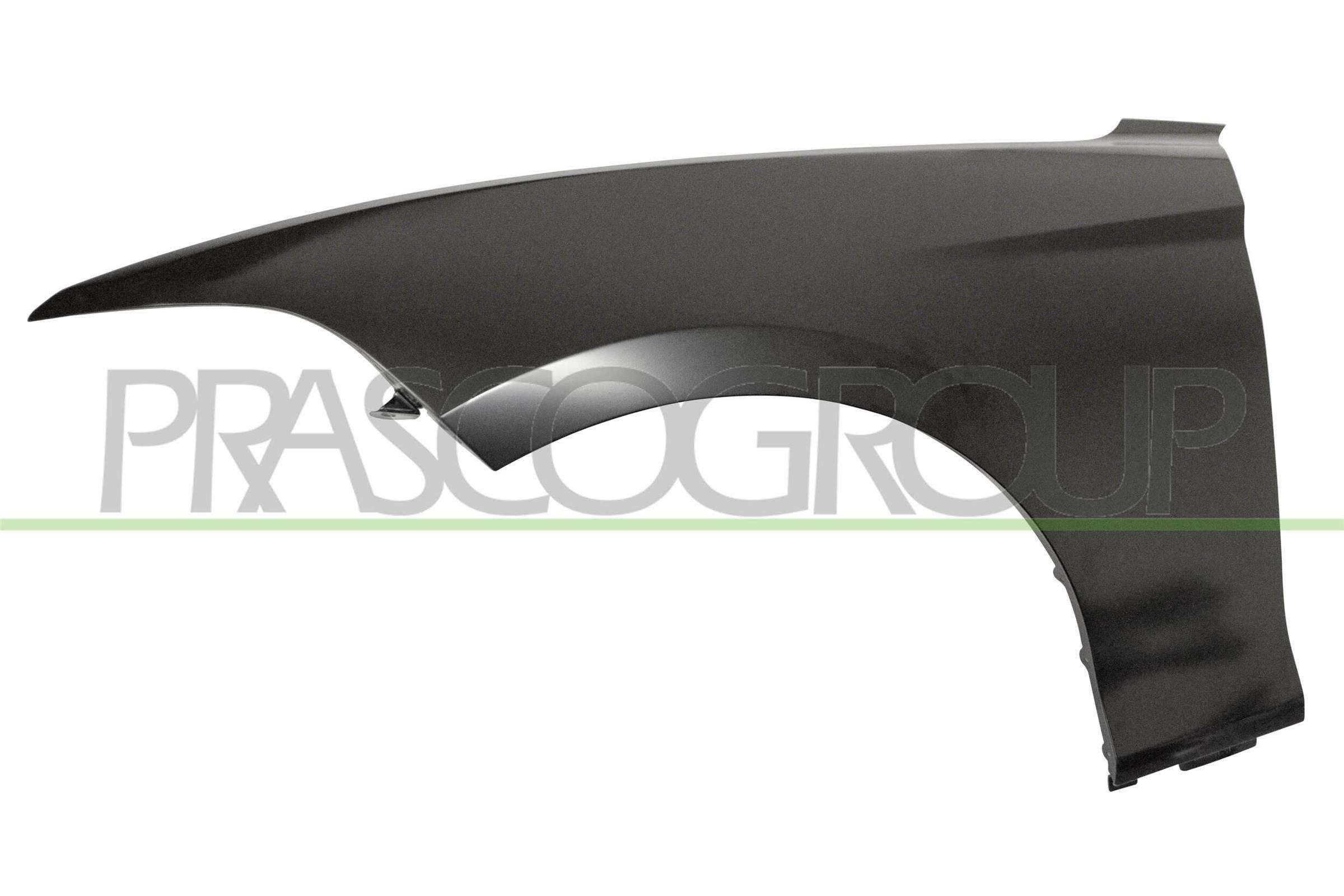 PRASCO BM1233004: Parafango anteriore Sx