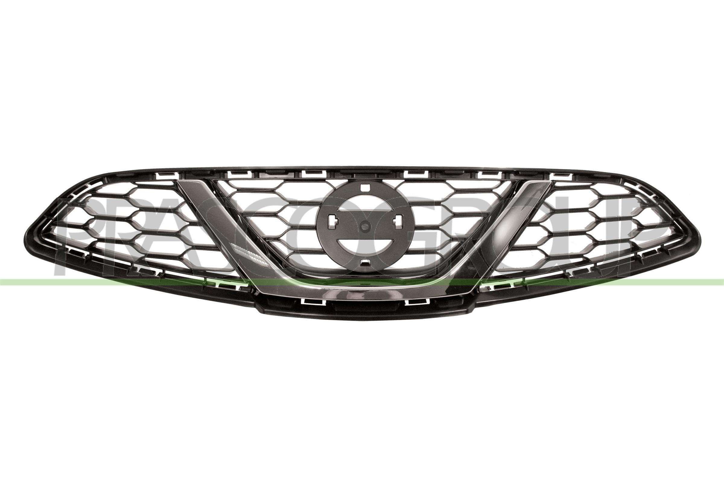 PRASCO DS0152001: Radiatora reste hroms/melns Premium