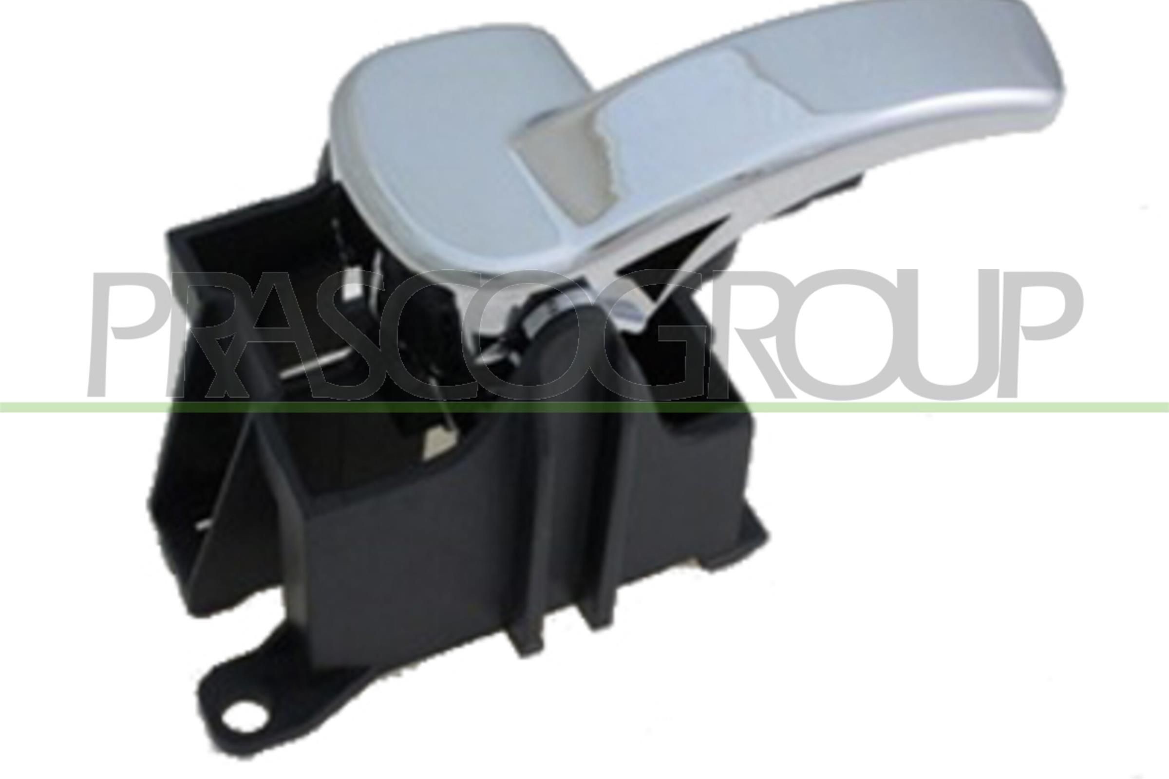 PRASCO DS8148606: Maniglia porta interno, posteriore Sx, anteriore Sx