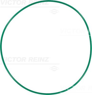 REINZ 40-76616-00: Inel de etansare