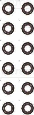 REINZ 12-37794-03: Set garnituri, ax supape