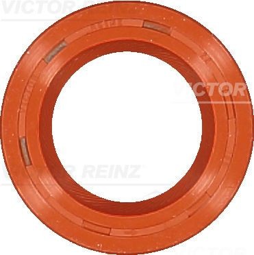 REINZ 81-15377-20: Simering, ax cu came