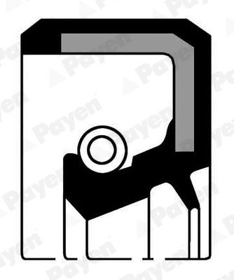 PAYEN NJ846: Simering, ax cu came
