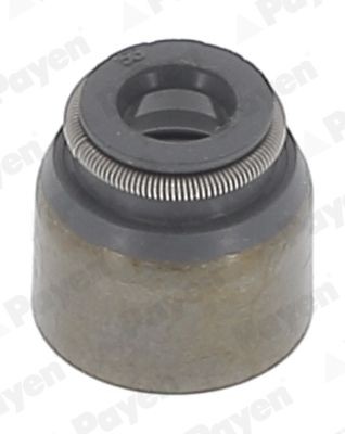 PAYEN PB681: Etansare, supape