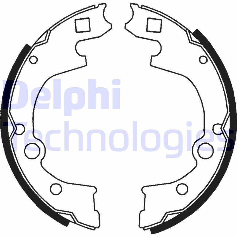 DELPHI LS1760: Piduriklotside komplekt