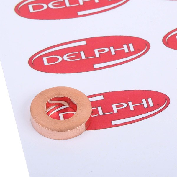 DELPHI 9001-850C: Tihendirõngas, pihustuseæaht