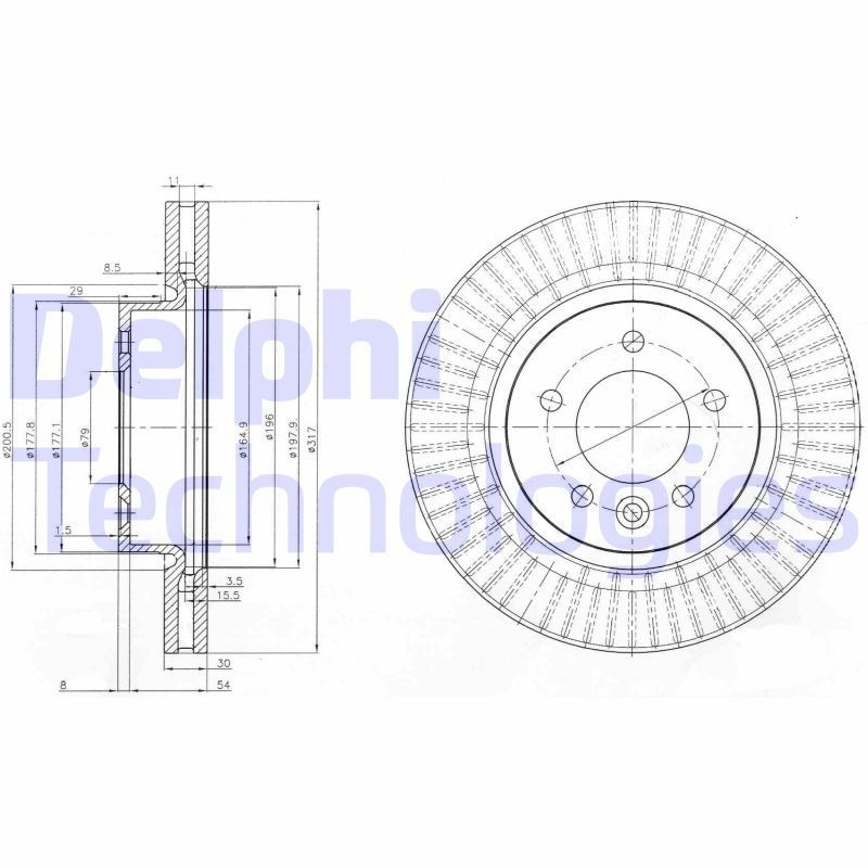 DELPHI BG9006C: Brzdový kotouč R: 317mm, větráno, R: 317mm, nátěr