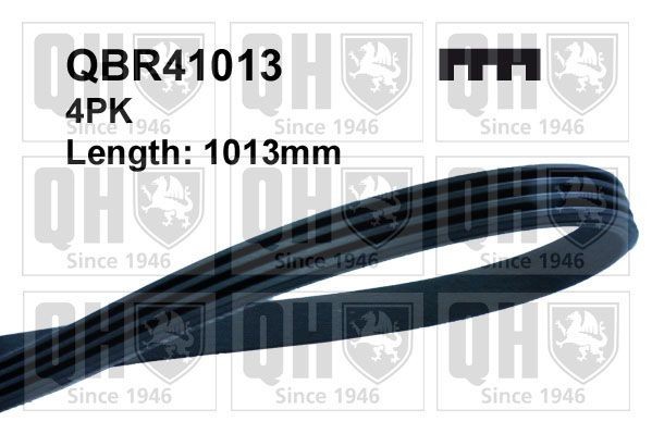 QUINTON HAZELL QBR41013: Moniurahihna 1013mm, Kiiloja: 4