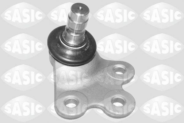 SASIC 7570006: Kande- / juhtliigend Esisild, all