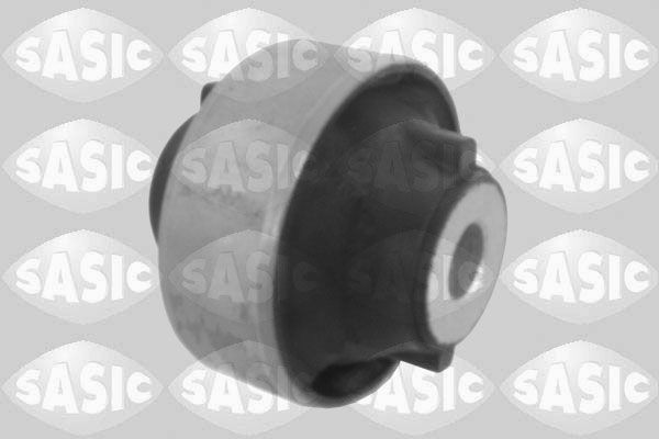 SASIC 2256047: Puks Esisild, taga, all