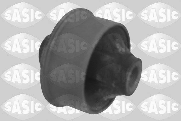 SASIC 2256045: Puks Esisild, taga, all