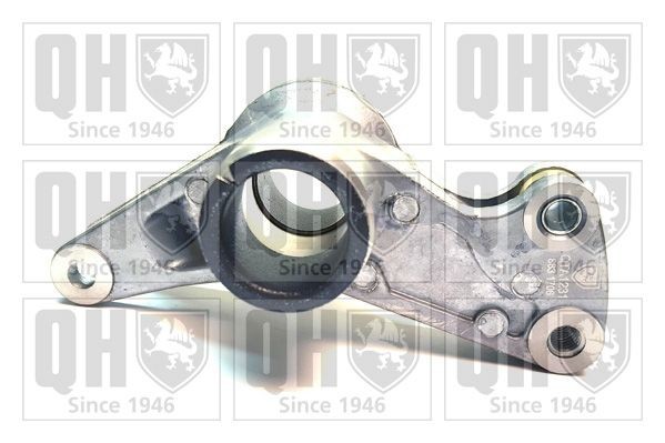 QUINTON HAZELL QTA1231: Intinzator, curea transmisie