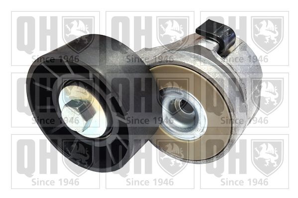 QUINTON HAZELL QTA1253: Intinzator, curea transmisie