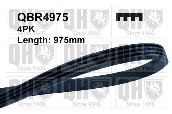 QUINTON HAZELL QBR4975: Courroie Poly-V 975mm, Nombre de gorges: 4