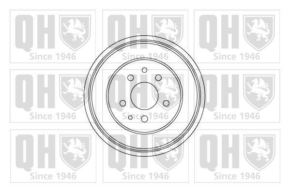QUINTON HAZELL BDR166: Tambur frana 256mm
