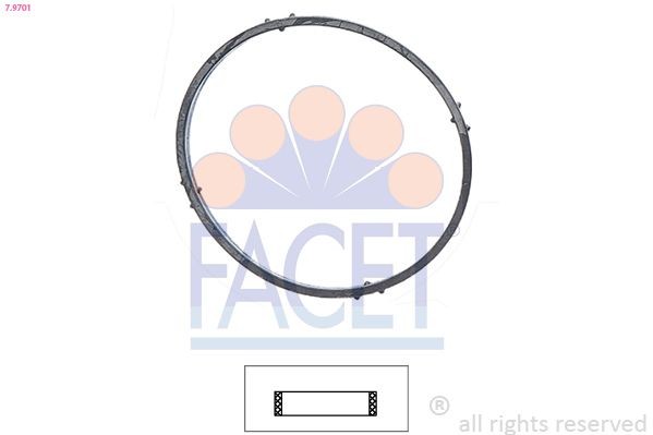 FACET 7.9701: Tihend, termostaat Made in Italy - OE Equivalent