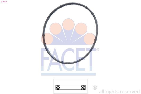 FACET 7.9717: Tihend, termostaat Made in Italy - OE Equivalent