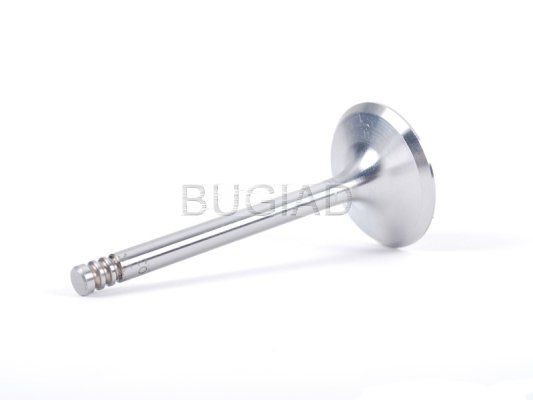 BUGIAD BSP21548: Insugsventil