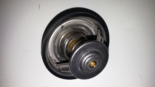 BUGIAD BSP21549: Termostat, lichid racire
