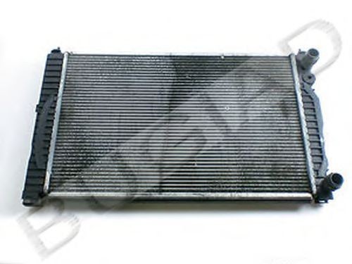 BUGIAD BSP22496: Radiateur du moteur