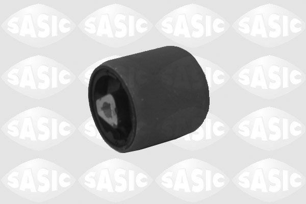 SASIC 2256039: Puks Esisild, ees, all