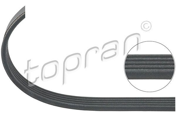 TOPRAN 207 890: Soonrihm 1545mm, Ribide arv: 5