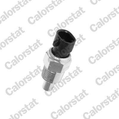 CALORSTAT by Vernet WS2588: Andur, Jahutusvedeliku temp. 3/8x18 NPTF