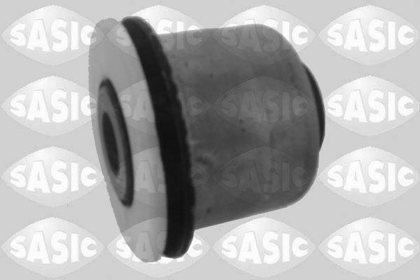 SASIC 2250019: Puks Esisild, üleval